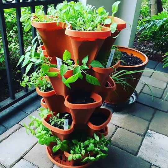 Stackable Vertical Planter for Strawberries and Herbs