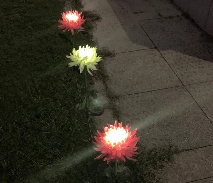 Everlasting Solar Chrysanthemum Lights for Your Garden