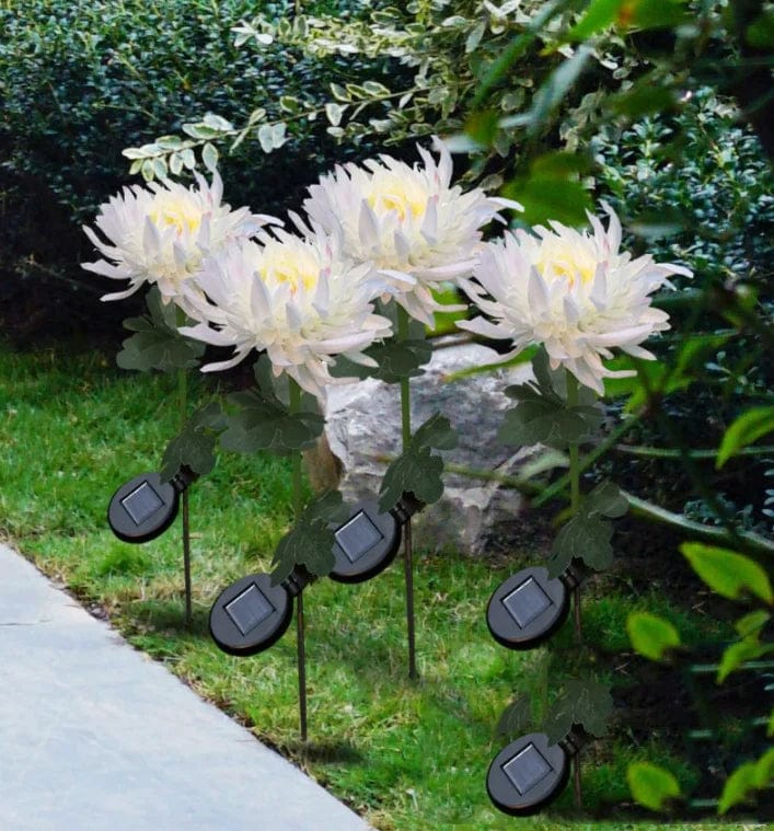 Everlasting Solar Chrysanthemum Lights for Your Garden