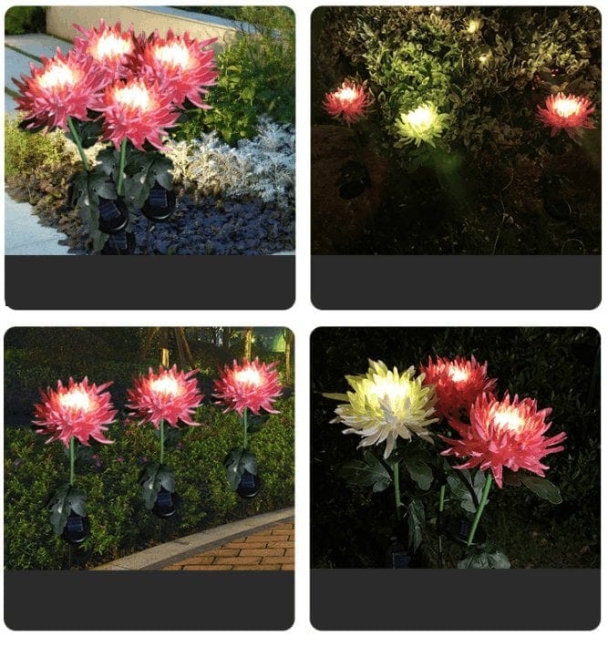 Color-Changing Solar Chrysanthemum Lights – 80cm Garden Decor