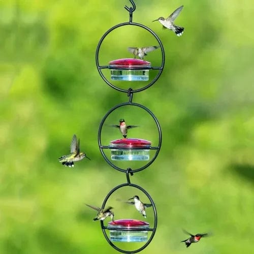 Hummingbird Paradise – Versatile Bird Feeder