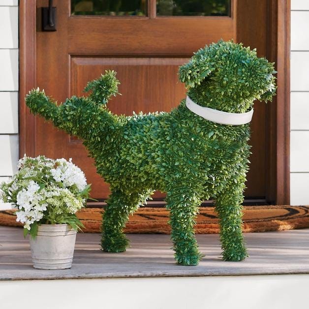 Playful Boxwood Dog Topiary – Low-Maintenance Garden Decor