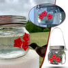 Attractive Hummingbird Feeder – Large Capacity & Easy Maintenance