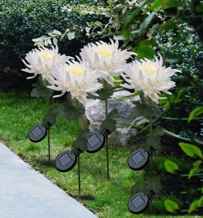 Color-Changing Solar Chrysanthemum Lights – 80cm Garden Decor