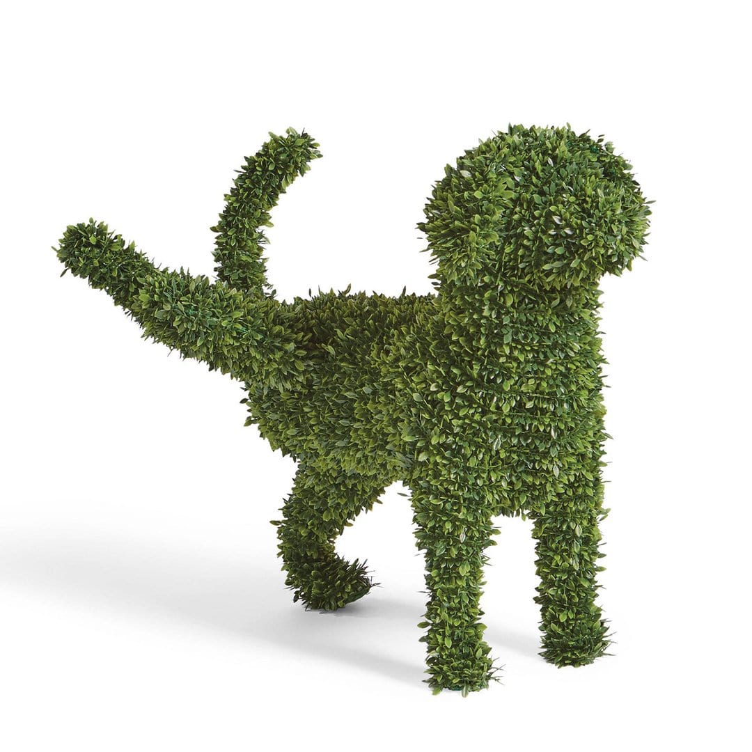 Playful Boxwood Dog Topiary – Low-Maintenance Garden Decor