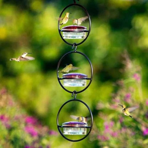 Hummingbird Paradise – Versatile Bird Feeder