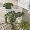 Playful Boxwood Dog Topiary – Low-Maintenance Garden Decor