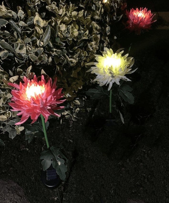 Color-Changing Solar Chrysanthemum Lights – 80cm Garden Decor