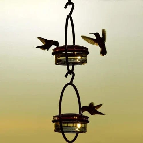 Hummingbird Paradise – Versatile Bird Feeder