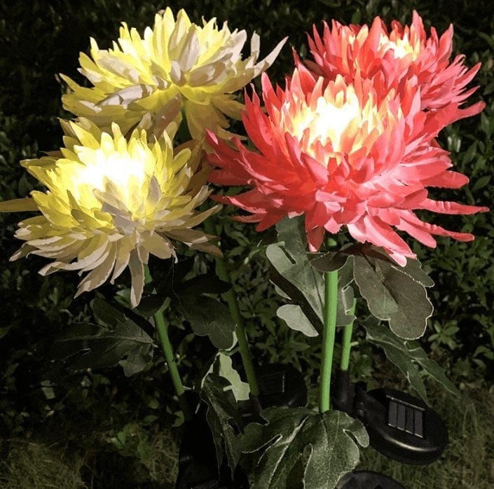 Color-Changing Solar Chrysanthemum Lights – 80cm Garden Decor