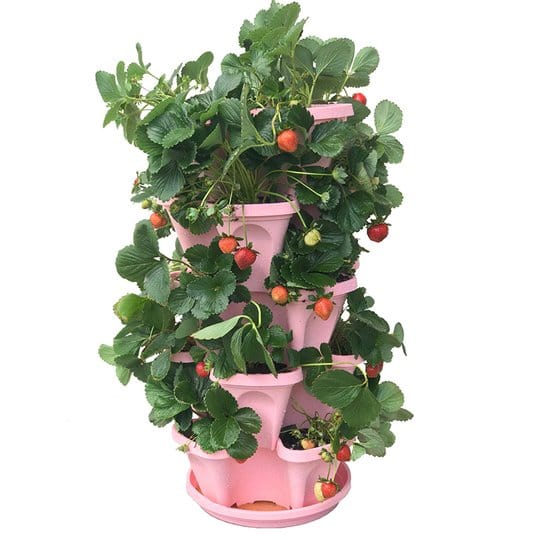 Stackable Vertical Planter for Strawberries and Herbs