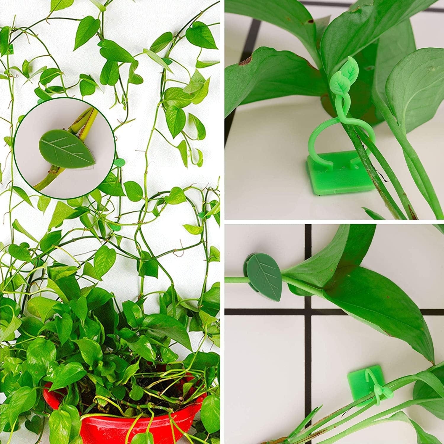 Transform Your Home with Vertical Plant Growth Support Clips