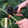 Professional Garden Grafting Tool – Precise Grafting & Pruning with Sharp SK5 Blades