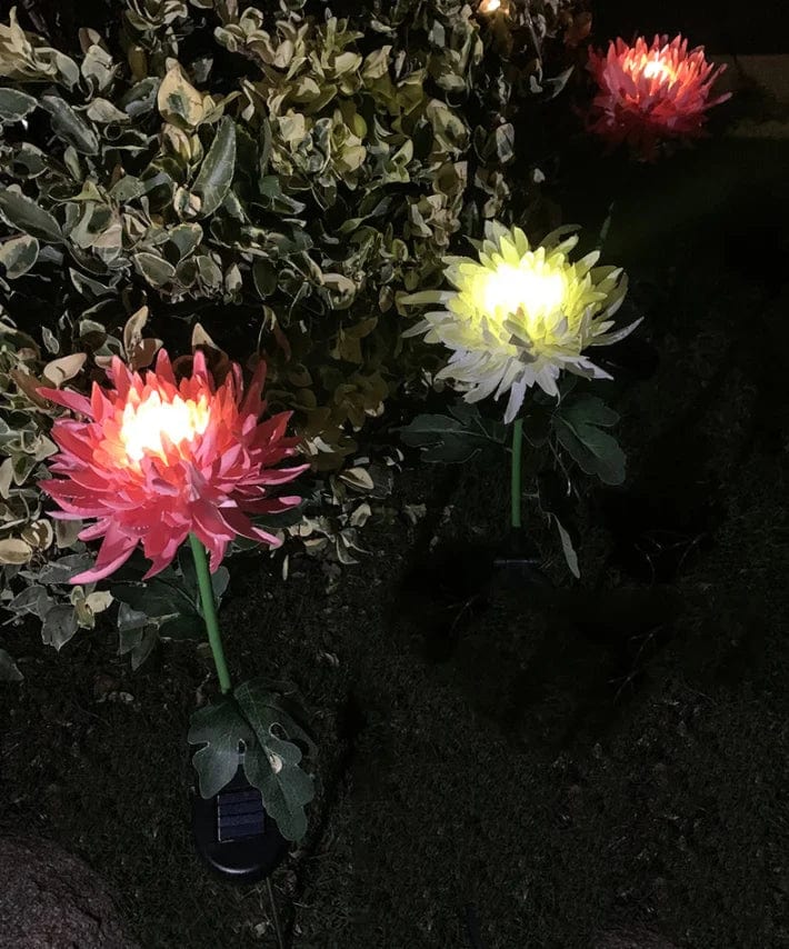 Everlasting Solar Chrysanthemum Lights for Your Garden