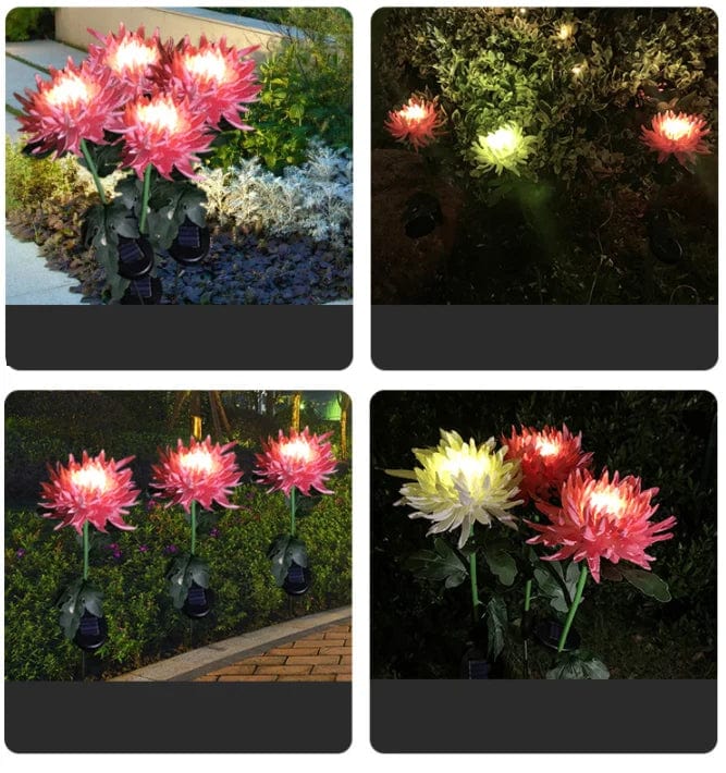 Everlasting Solar Chrysanthemum Lights for Your Garden