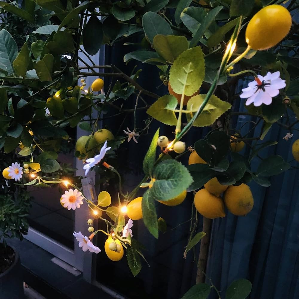 Luminous Lemon Lights – Elegant Fairy Garland |