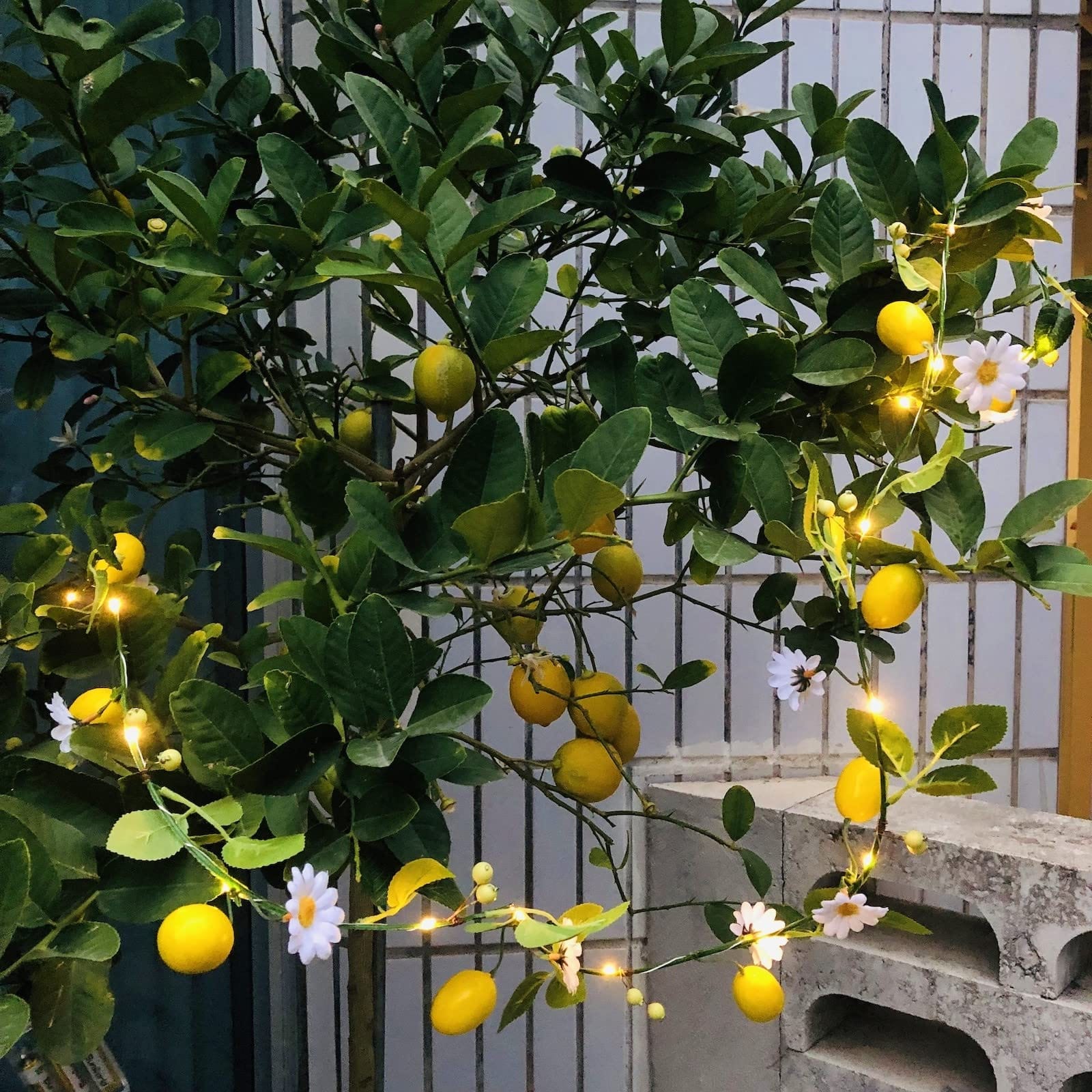 Luminous Lemon Lights – Elegant Fairy Garland |