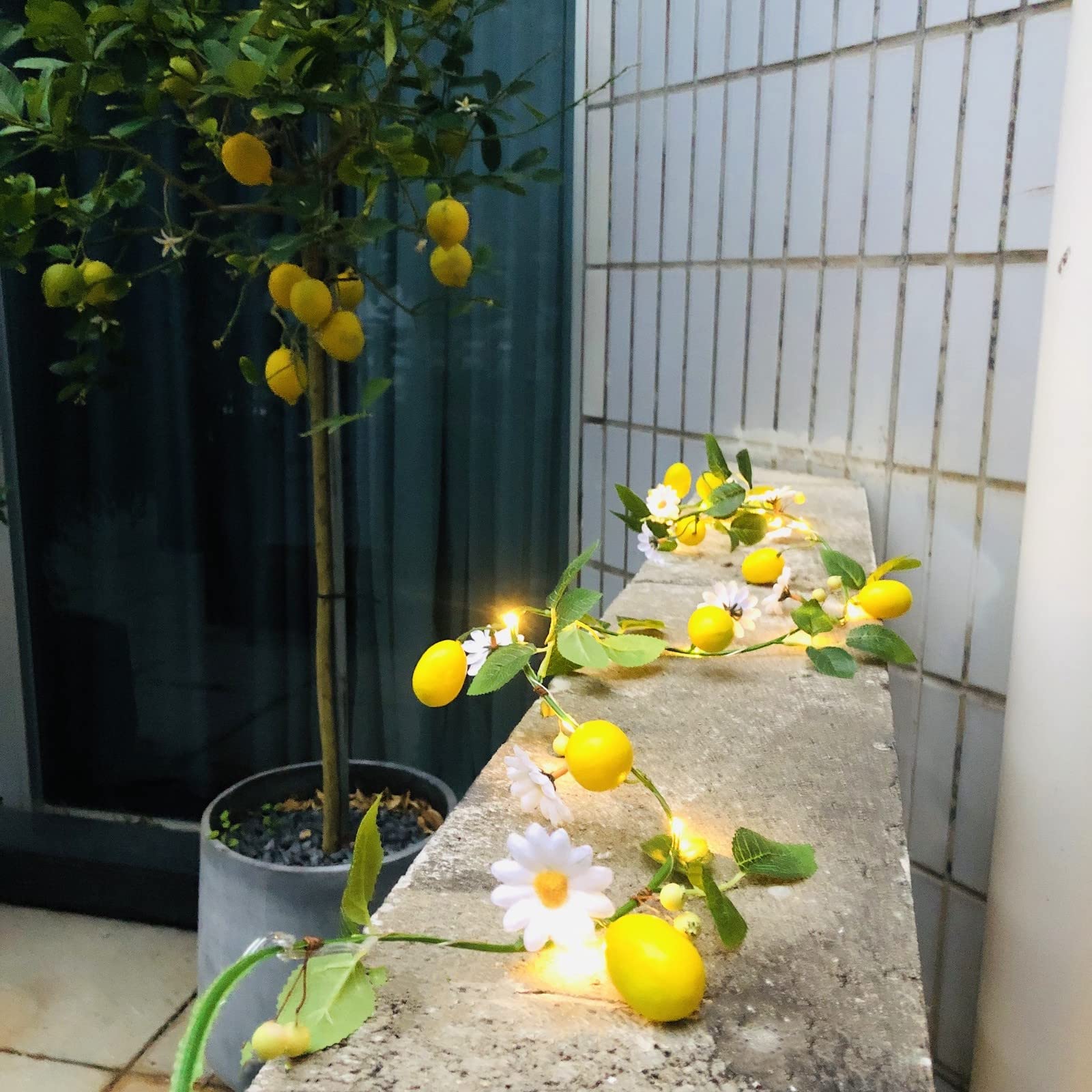 Luminous Lemon Lights – Elegant Fairy Garland |