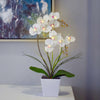 Orchid Oasis Lamp - Elegant Floral Ambient Light