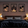 Starlit Silhouette Frames - Illuminated Decorative Photo Frames