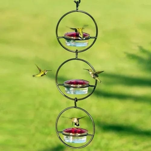 Hummingbird Paradise – Versatile Bird Feeder