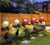 Color-Changing Solar Chrysanthemum Lights – 80cm Garden Decor