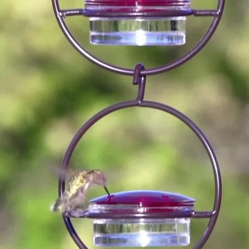 Hummingbird Paradise – Versatile Bird Feeder