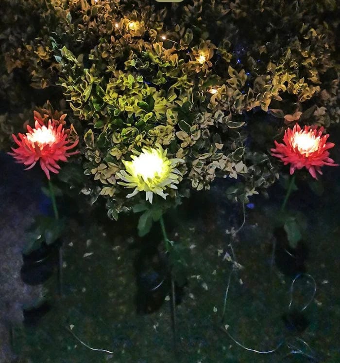 Everlasting Solar Chrysanthemum Lights for Your Garden