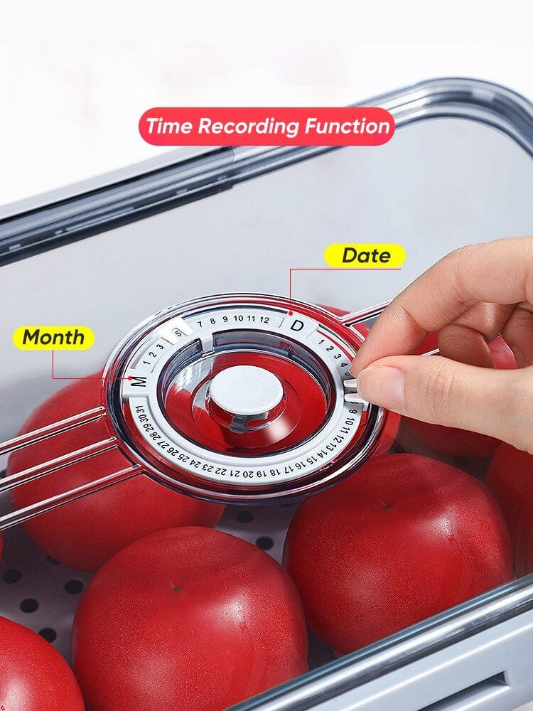 Seal Timer Food Container-3PCS