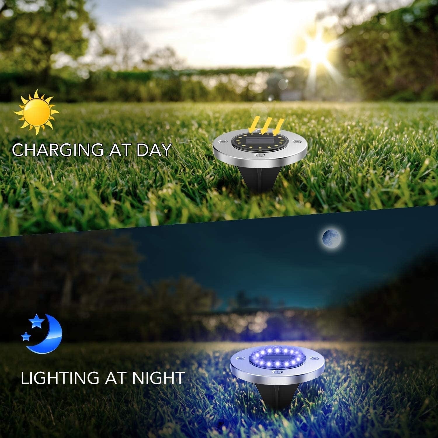 Solar LED Garden Lights – Effortless Outdoor Illumination